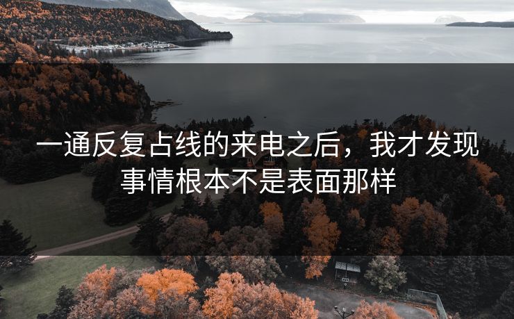 一通反复占线的来电之后，我才发现事情根本不是表面那样