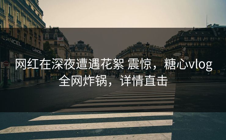 网红在深夜遭遇花絮 震惊，糖心vlog全网炸锅，详情直击