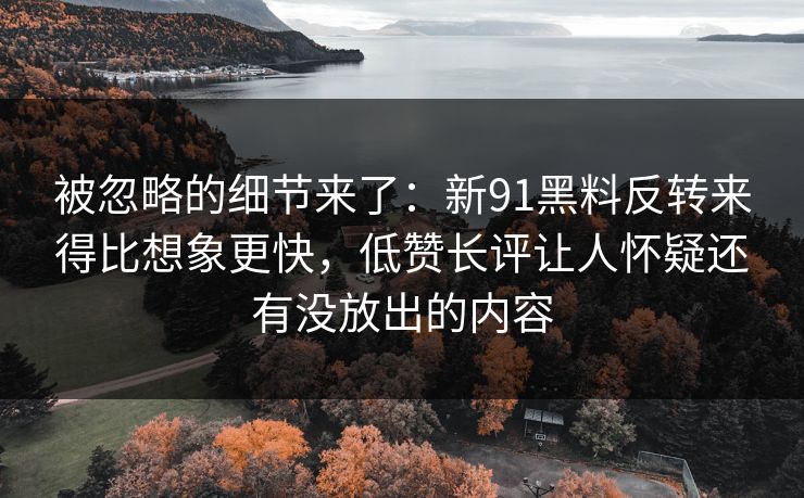 被忽略的细节来了：新91黑料反转来得比想象更快，低赞长评让人怀疑还有没放出的内容